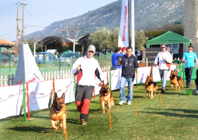 Ετήσιο Πρωτάθλημα Αναπαραγωγής ΚΟΓΠΕ