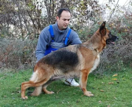 Zamba van Noort