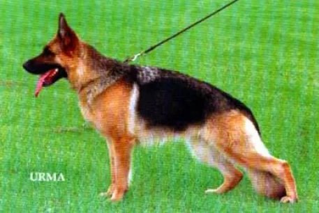 Una von Oxsalis