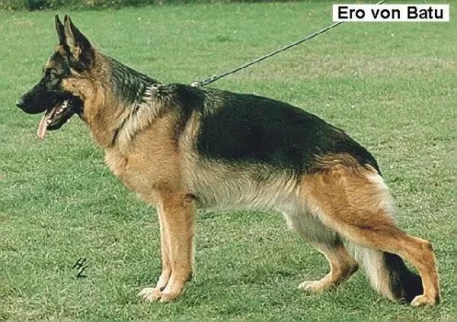 Ero von Batu