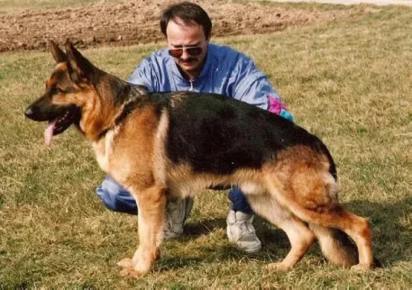 Amigo vom Belgier