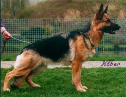 Xena aus Wattenscheid